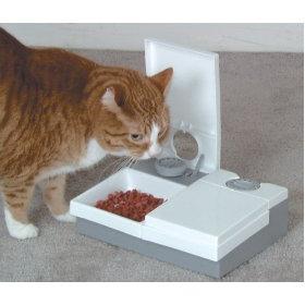 Рејтинг хране за мачке: изаберите посластицу за кућне љубимце