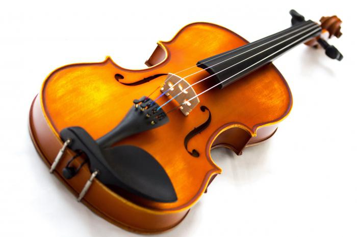 Колико струнова ради виолине