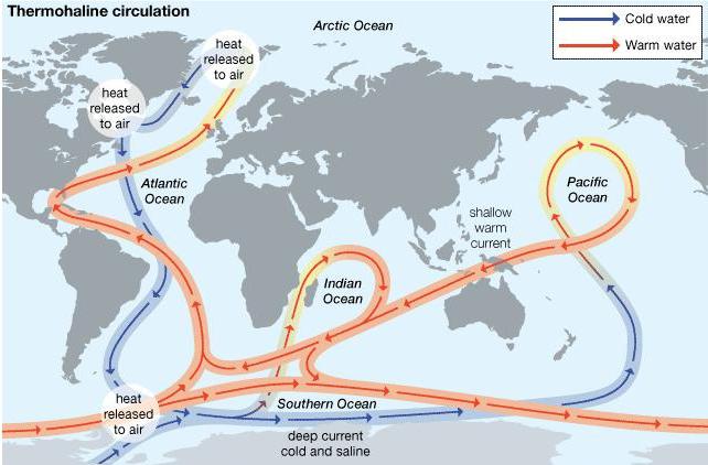 термохална циркулација светског океана