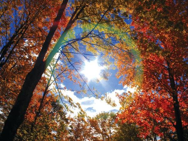 Светле боје јесенске природе: када почиње Индијско лето?