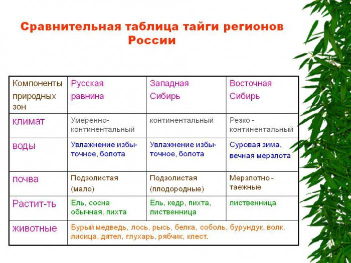 За коју је структуру тектонске структуре затворена руска равница? Тектоника и рељеф Руске равнице