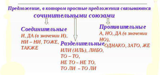 ставите знакове интерпункције у сложене реченице