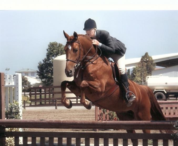 Врсте коњичког спорта - разноликост и величанственост јахања